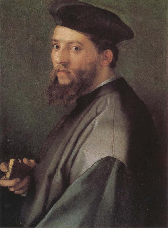 Andrea del Sarto Portrait of ecclesiastic Spain oil painting art